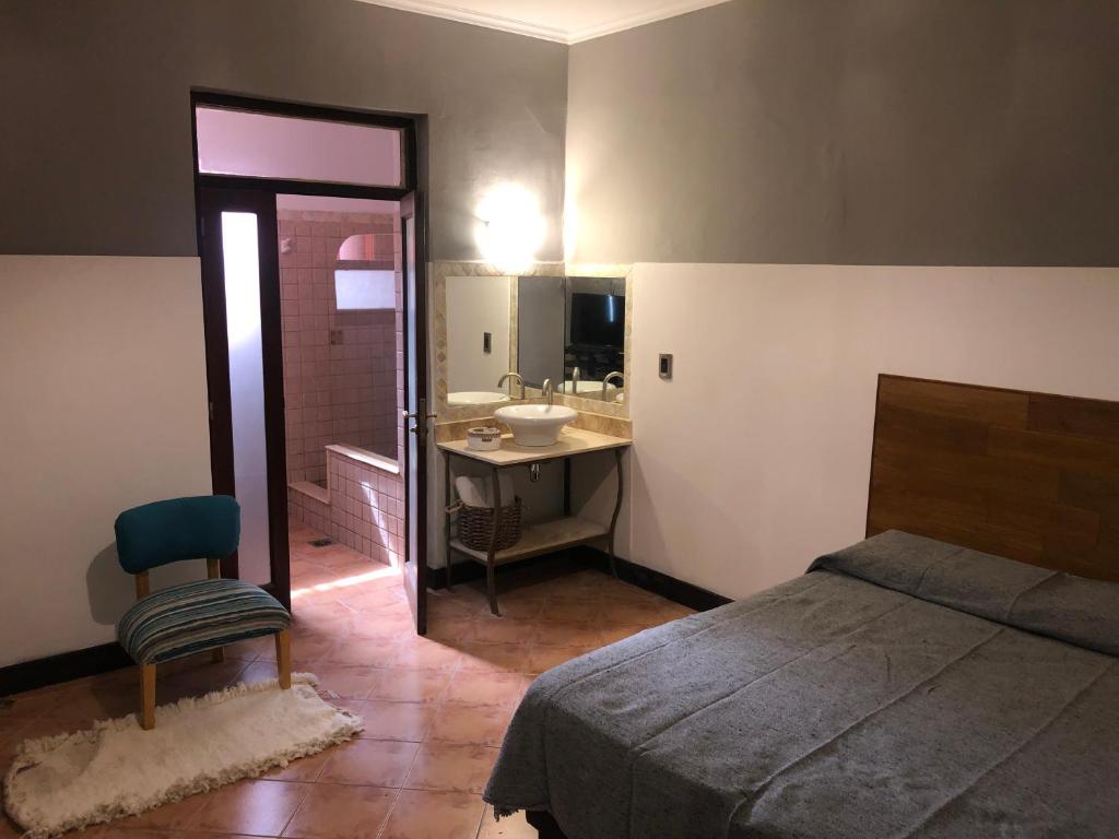 um quarto com uma cama e uma casa de banho com um lavatório em Petit Deluxe Salta em Salta
