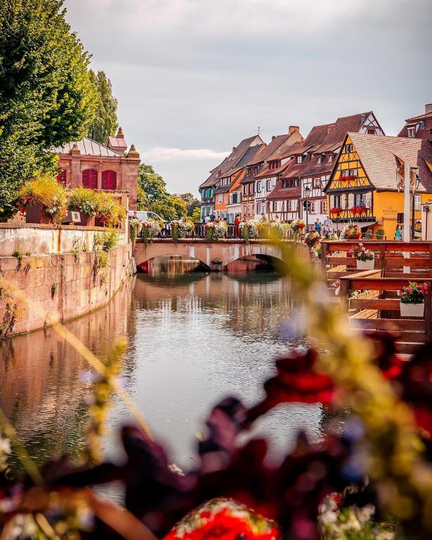 L'ambassadeur - Colmar centre – photo 57