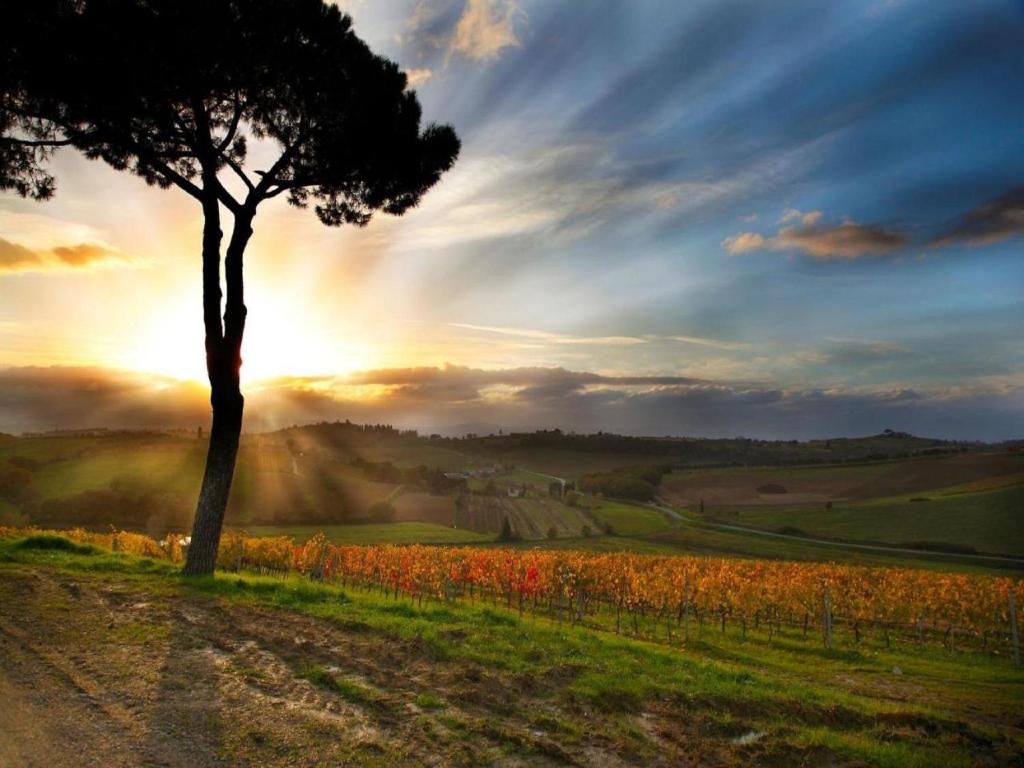 Kép Rustic Elegance in Montepulciano szállásáról Montepulcianóban a galériában