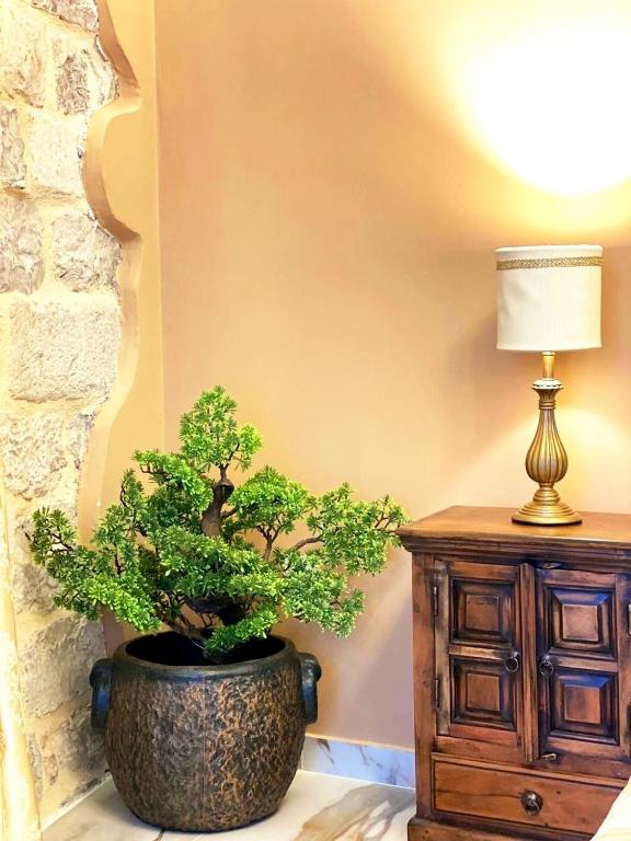 Fotografie z fotogalerie ubytování D & Sons Apartments v destinaci Kotor