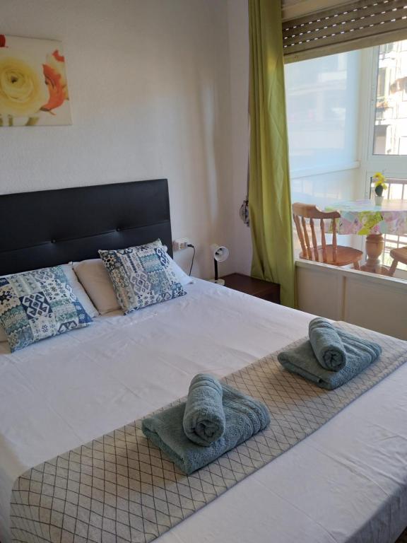 LOVE ALICANTE, Alicante – Updated 2022 Prices
