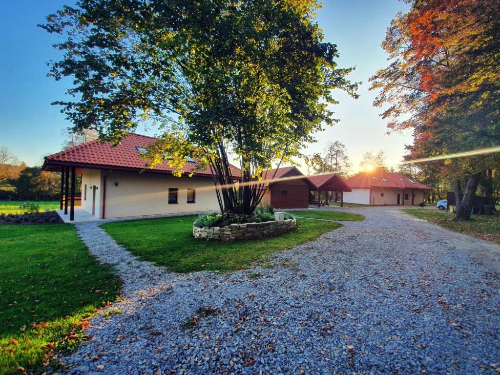 une maison avec un arbre sur une route en gravier dans l'établissement Dziubanowo, à Sanok