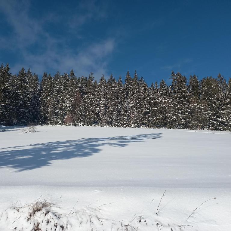 Vikendice Jasen v zimě