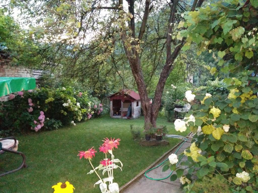 Zahrada ubytování Pension Casa Anadam
