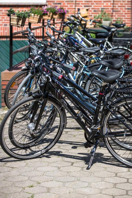 Jízda na kole v ubytování Ferienhof Heins nebo okolí