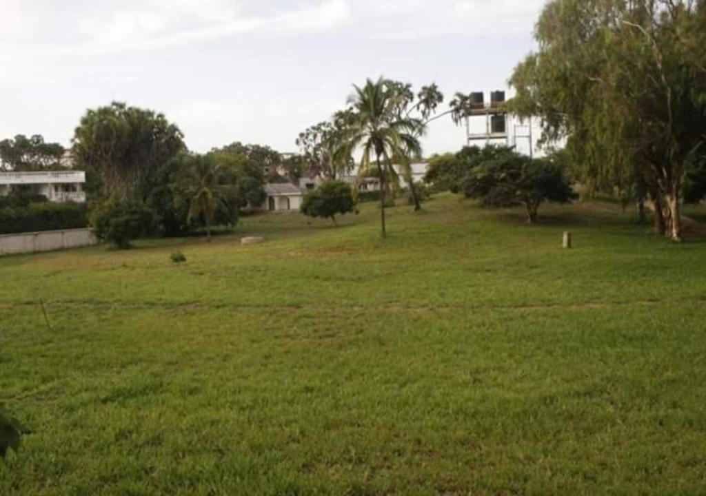 O grădină în afara Watamu Adventist Beach Resort