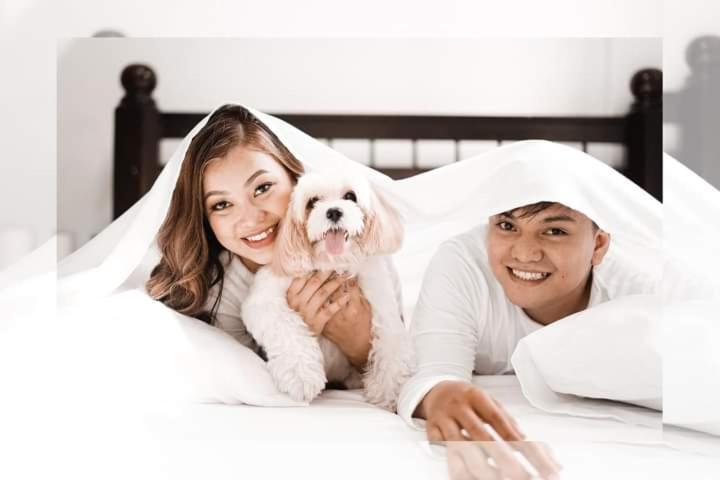 Domácí mazlíčci ubytovaní s hosty v ubytování SOFIATEL Rooms