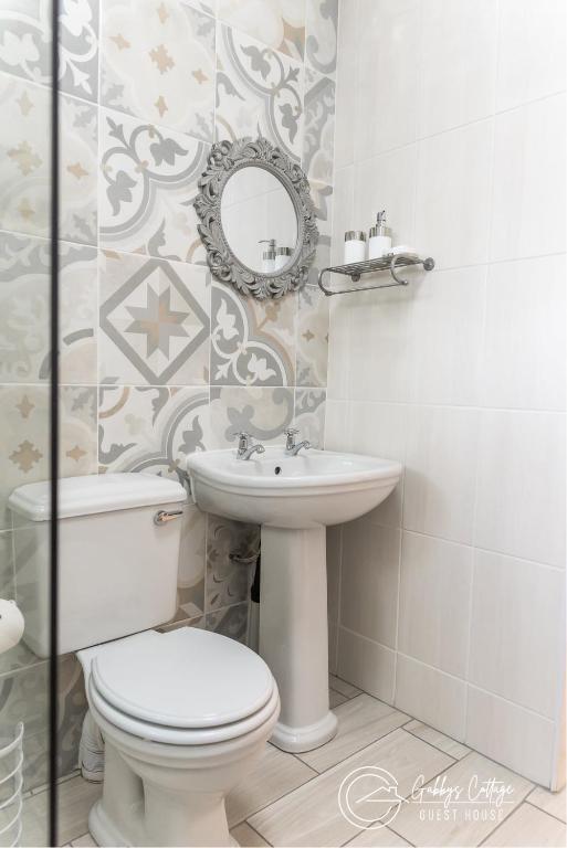 a bathroom with a toilet and a sink and a mirror at Gabbys Cottage Guesthouse in Bloemfontein