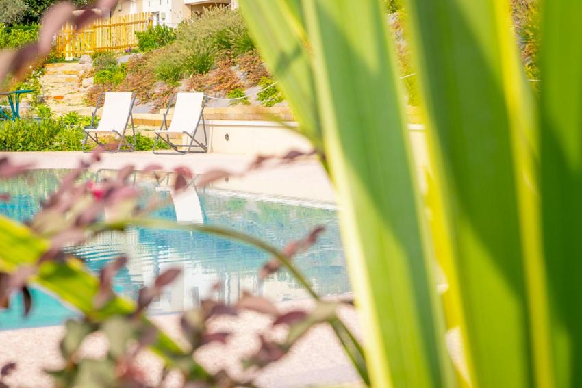 Piscina di Le Bianchette Agriturismo e Fattoria Didattica o nelle vicinanze