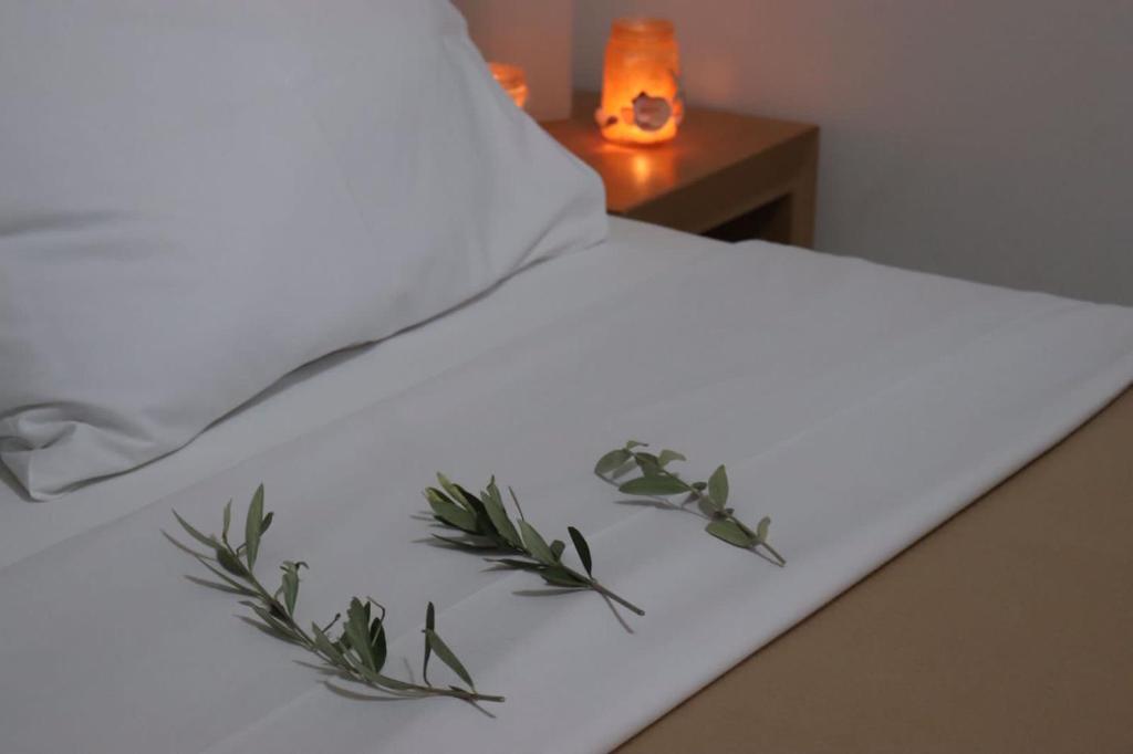 Uma cama ou camas num quarto em Apartments Piazza