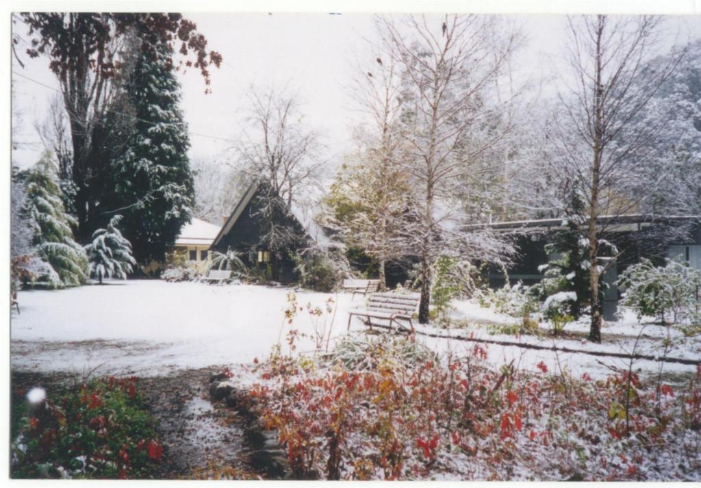 un patio cubierto de nieve con un banco y una casa en Mountain View Holiday Retreat, en Harrietville