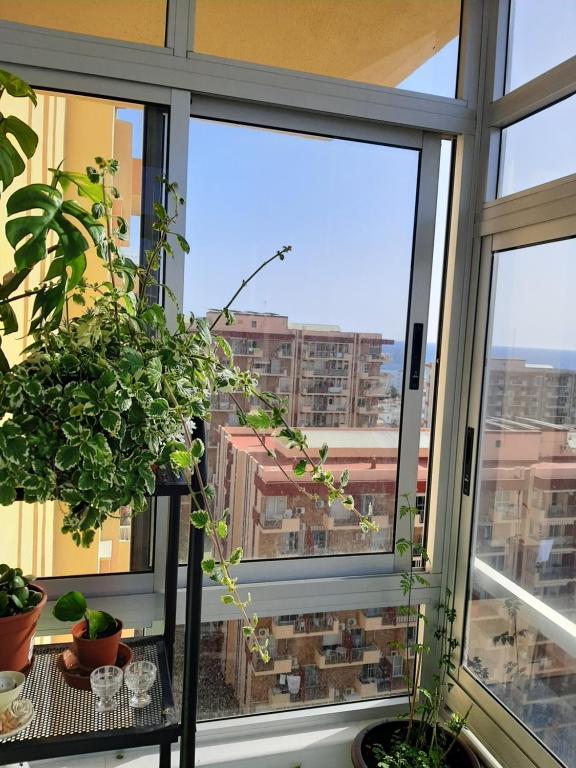 Balkon lub taras w obiekcie Arroyo mar & montaña cozy place