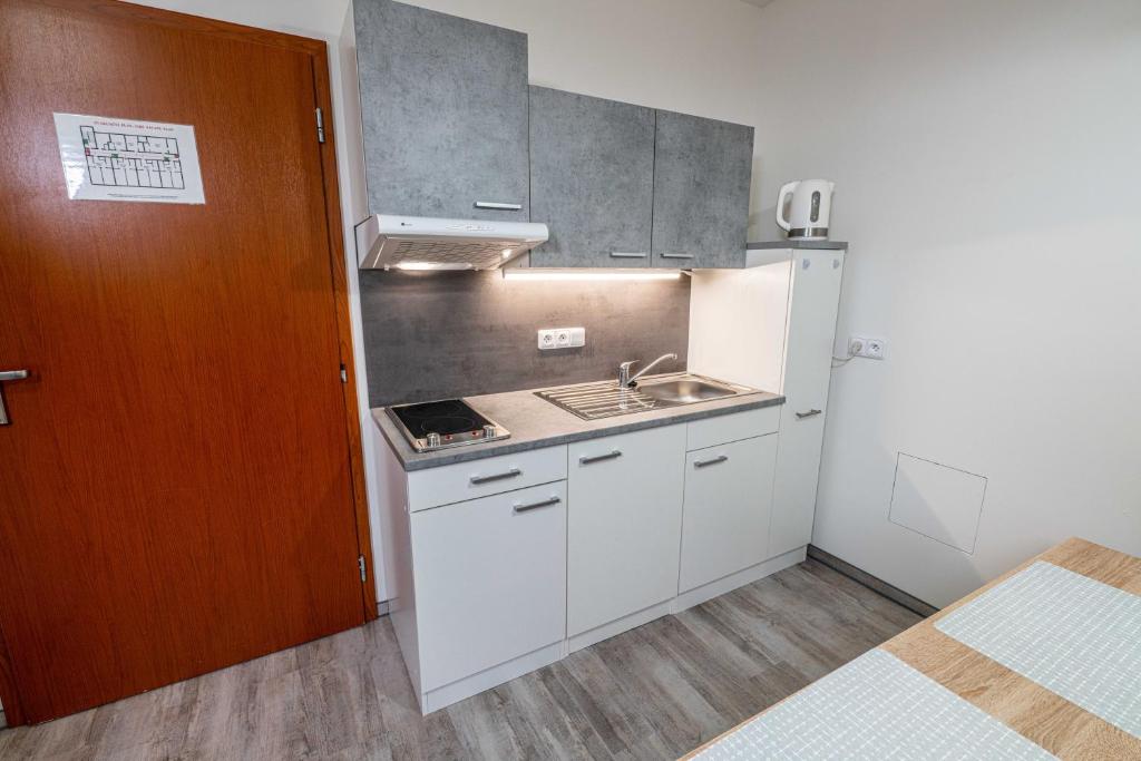 Kuchyňa alebo kuchynka v ubytovaní WELLNESS HOTEL FRYMBURK APARTMAN 502C