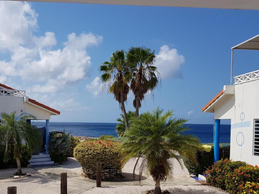 a house with palm trees and the ocean in the background at Marazul Apartment F1 in Sabana Westpunt