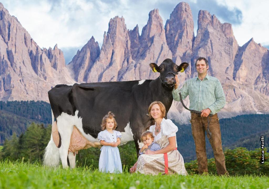 une famille debout devant une vache dans un champ dans l'établissement Agriturismo Kabishof, à Funes