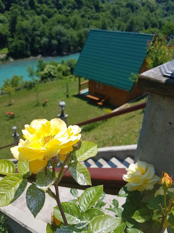 Motel Bavaria - Bungalow - Water Front
