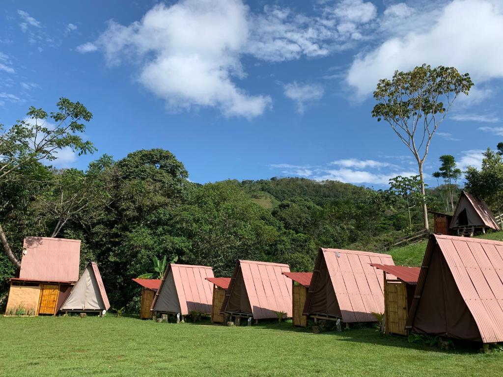Fotografia z galérie ubytovania Ecohotel Los Mikos v destinácii Norcasia