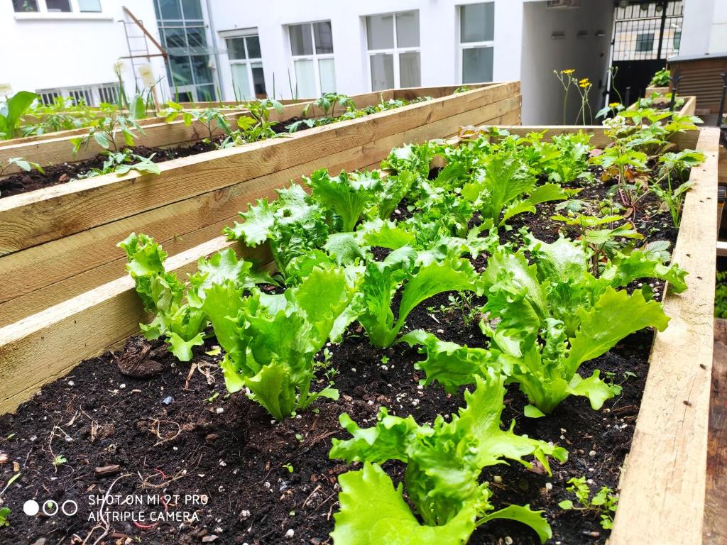 Chopin Boutique - Resim 22