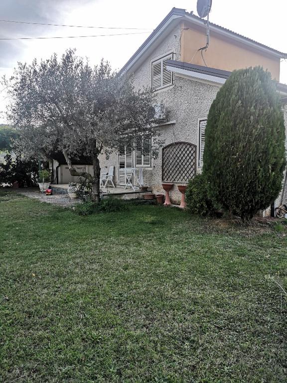 a house with a tree in the yard at Villa Vecchio Ulivo in Sarconi
