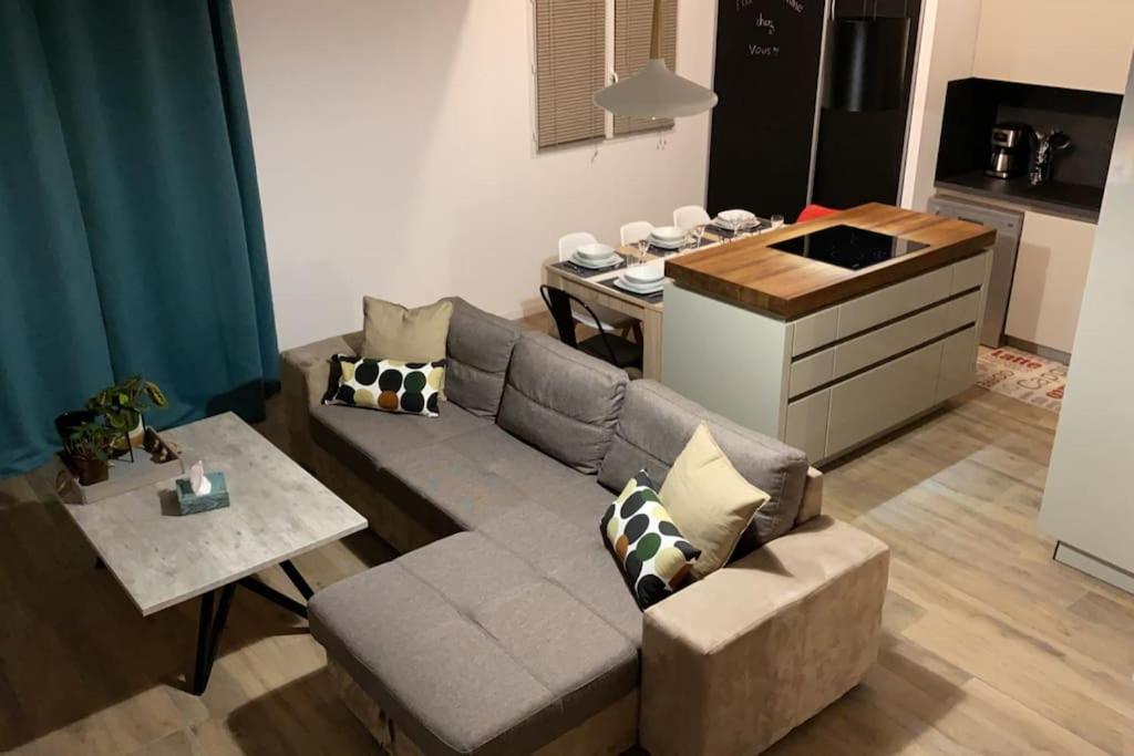MEET - AIRBUS - TRAMWAY في Aussonne: غرفة معيشة مع أريكة ومطبخ