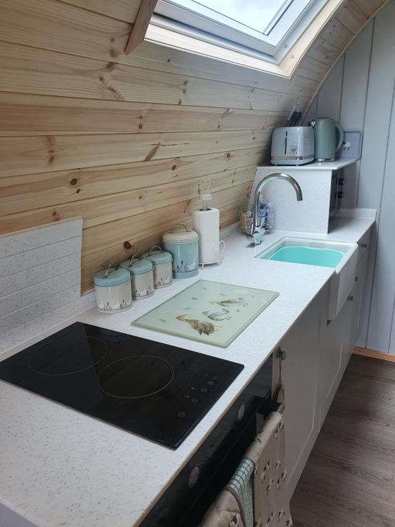 Kuchyň nebo kuchyňský kout v ubytování Lilly's Lodges Orkney Robin Lodge
