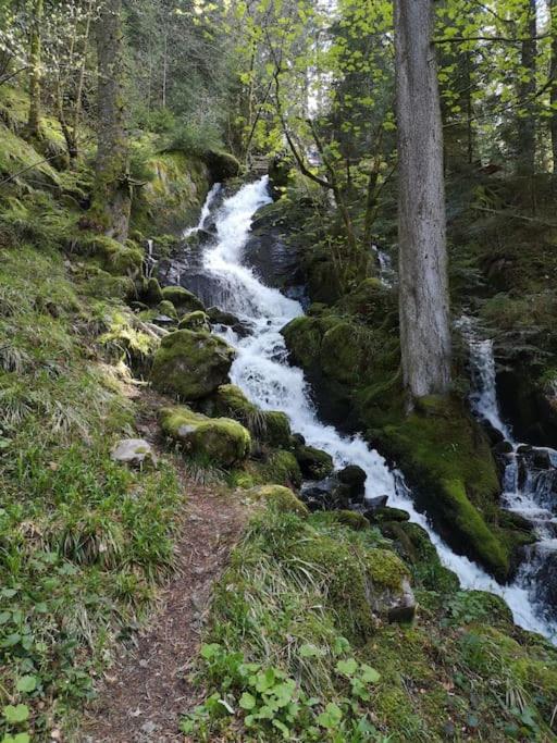 Příroda nedaleko apartmánu