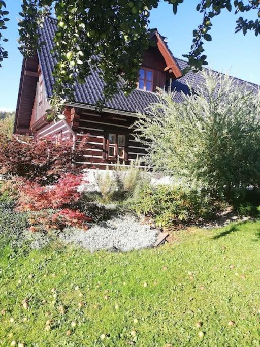 Zahrada ubytování Apartmán Anička
