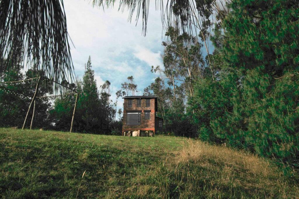 Vrt pred nastanitvijo Paradise Glamping