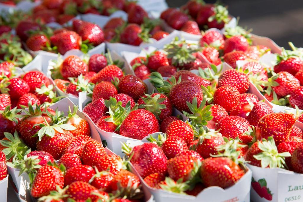 Hôtel Relais Acropolis - Resim 35