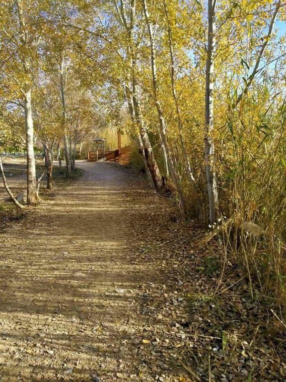 Kép Apartamento en puerta valle Ricote y Archena szállásáról Villanueva de Río Segurában a galériában