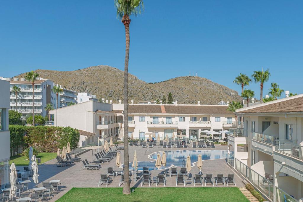 un resort con una palma e una piscina di Trendhotel Alcudia - Adults Only a Port d'Alcudia