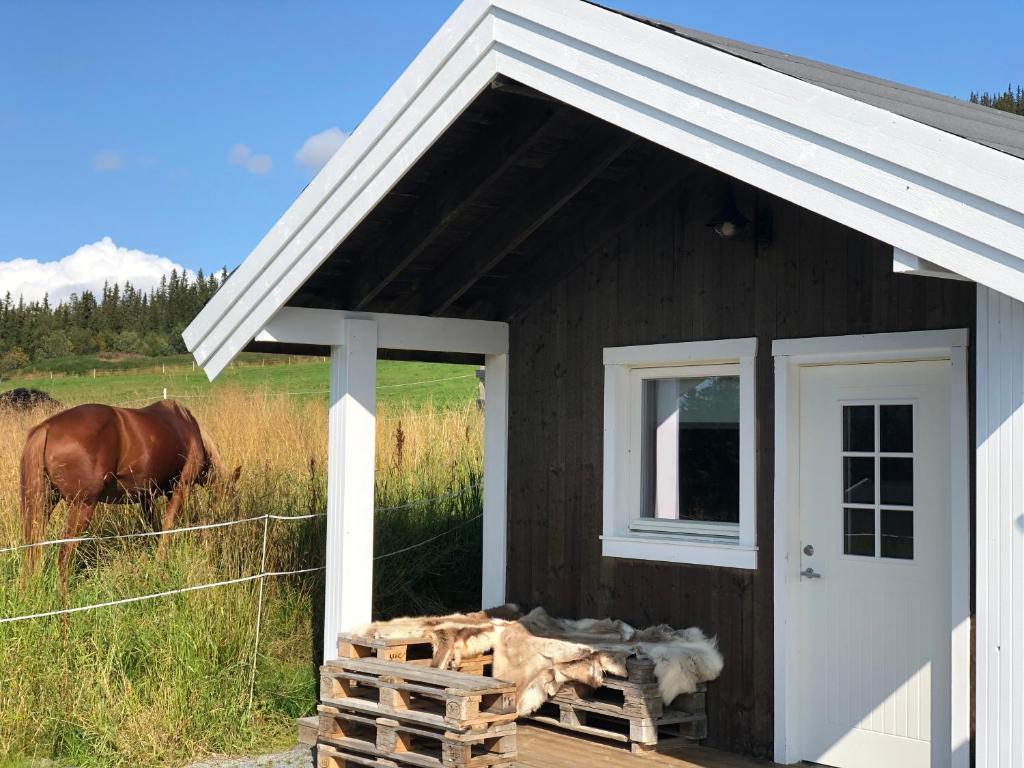 a barn with a white door and a horse in a field at Hytte på Myhre Gård in Skammestein