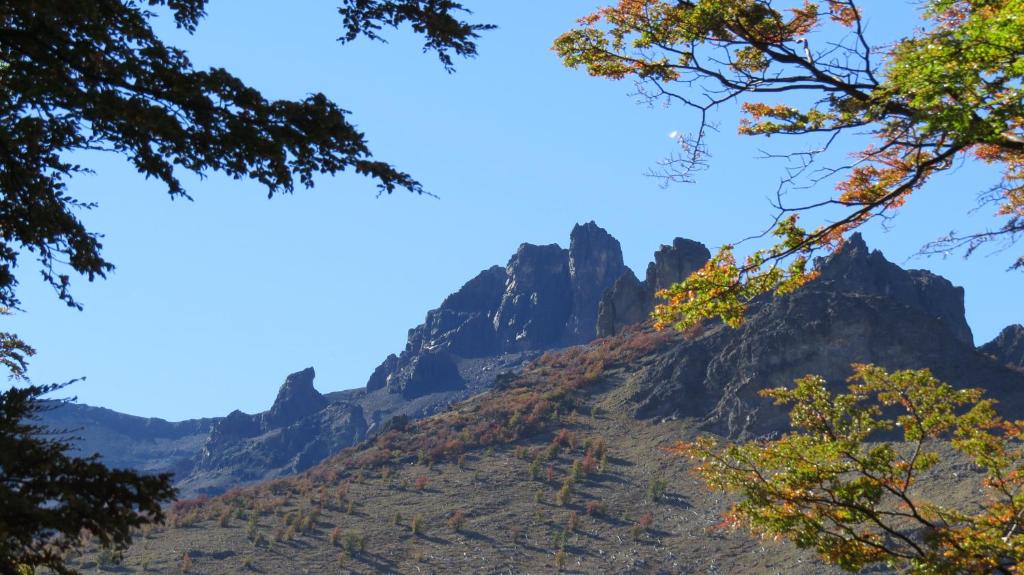 Calafates y lavandas