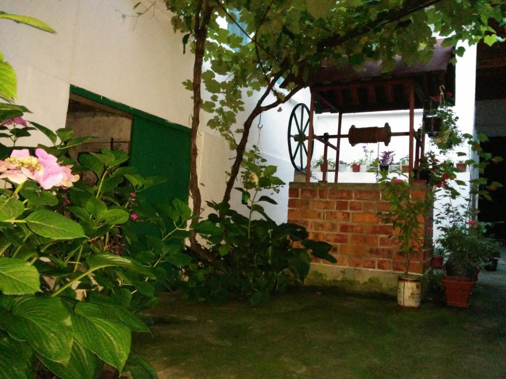 Zahrada ubytování Pension Casa Anadam