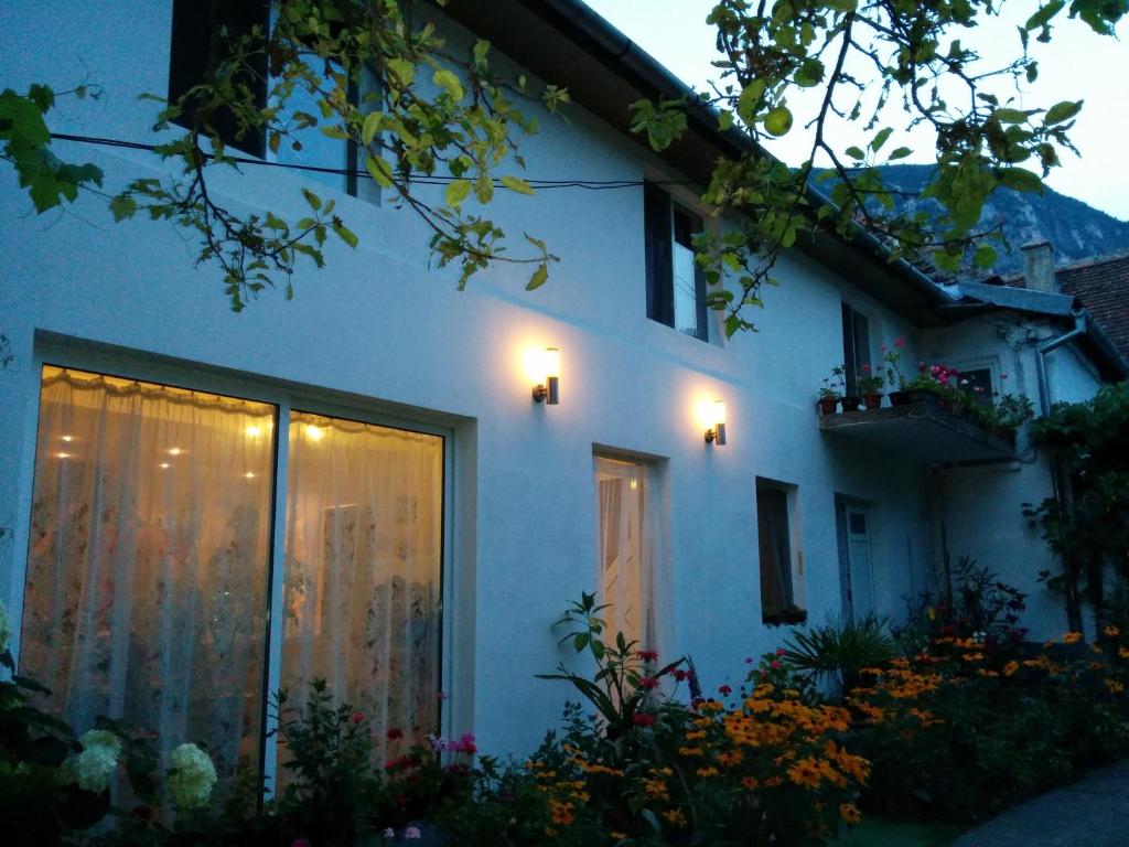 a white house with lights on the side of it at Pension Casa Anadam in Băile Herculane