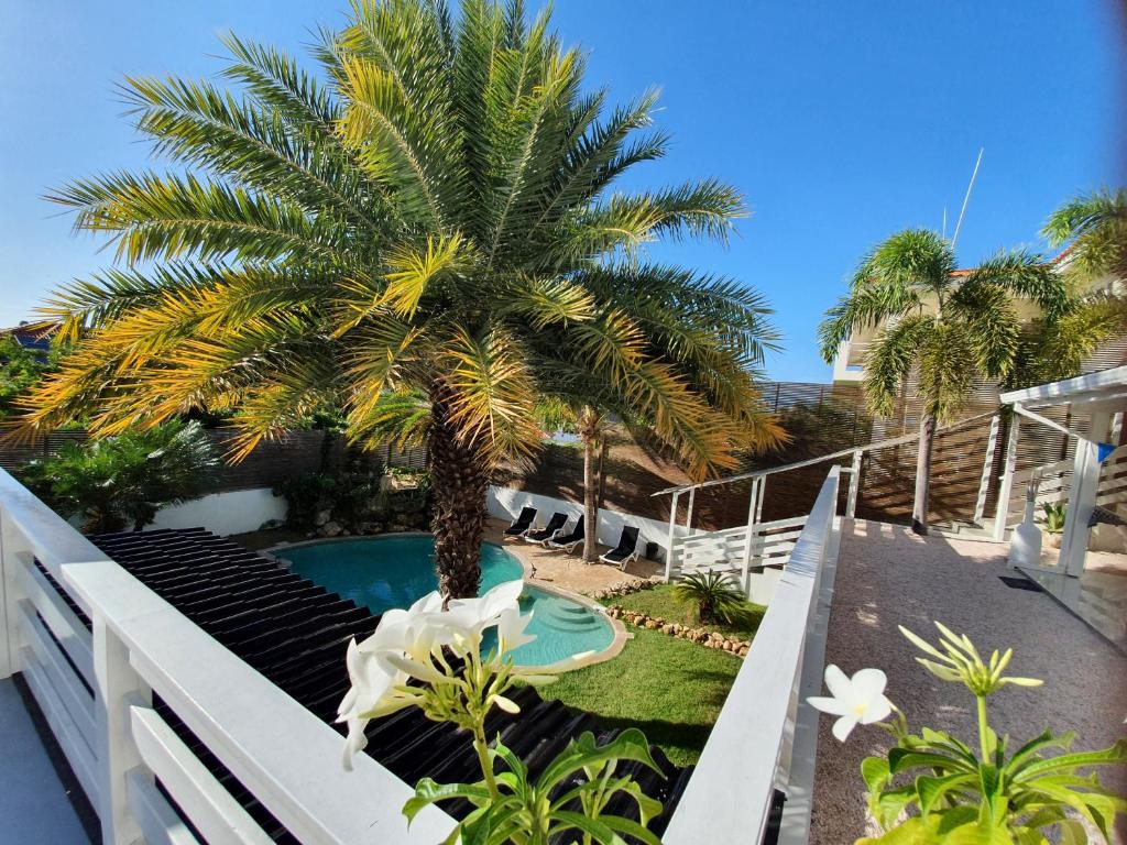 Bazén v ubytování C APARTMENT at JAN THIEL Curacao nebo v jeho okolí