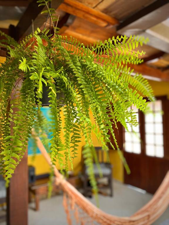 Fotografie z fotogalerie ubytování MAI Chameguin Hospedagens Paraty v destinaci Paraty