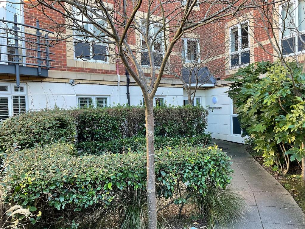 a small tree in front of a building at Modern 2 Bed Apt in Egham High Street, with private parking and Wifi in Egham