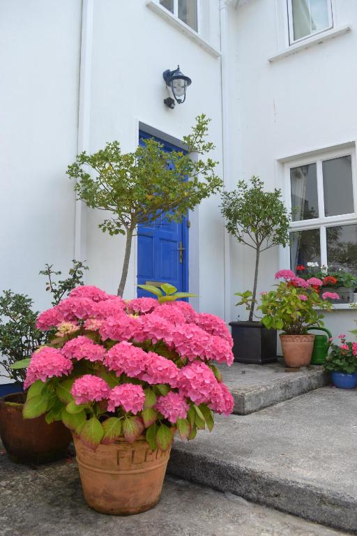 Zahrada ubytování Guaire House Killarney