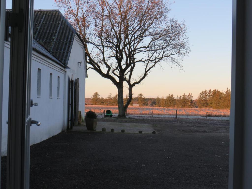 Foto dalla galleria di Bøgelund Sleep-in a Karup