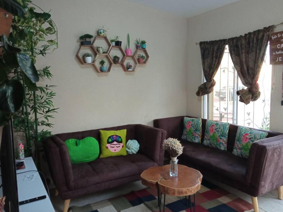 a living room with two brown couches and a table at La Casa Del Pinito in Sonsonate