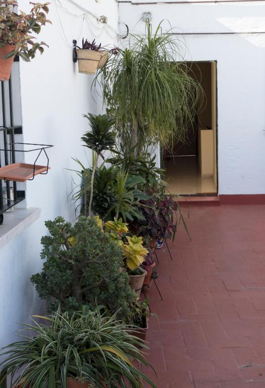 A garden outside R&M ALOJAMIENTOS C/SIERPES 46