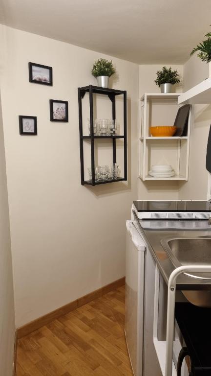 Kuchyňa alebo kuchynka v ubytovaní LEONARDO Apartment