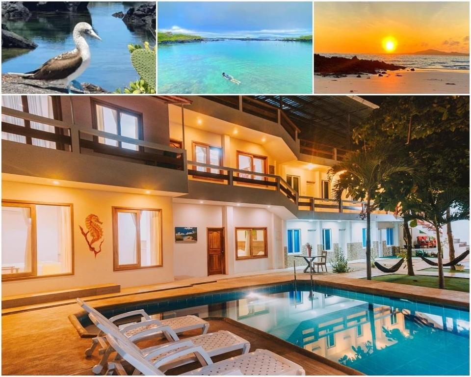 Bazén v ubytování Galápagos Isabela Hotel Loja nebo v jeho okolí