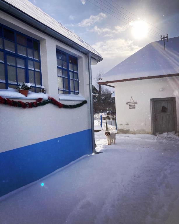 Budova, kde se prázdninový dům nachází