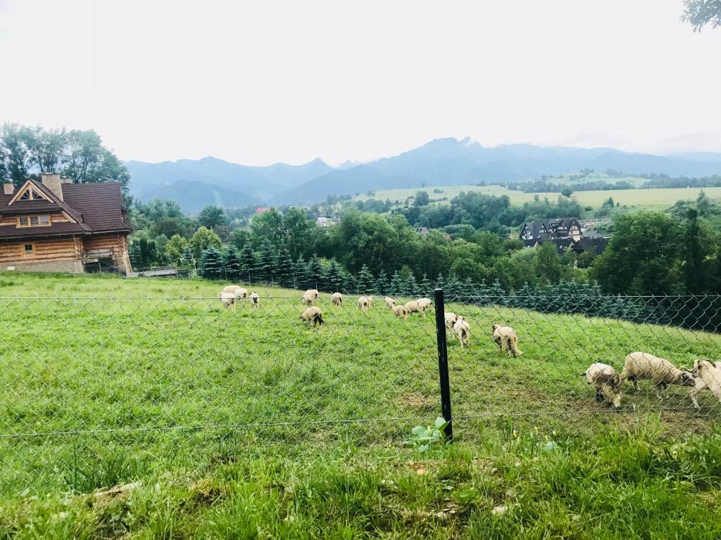 Príroda v okolí privátu