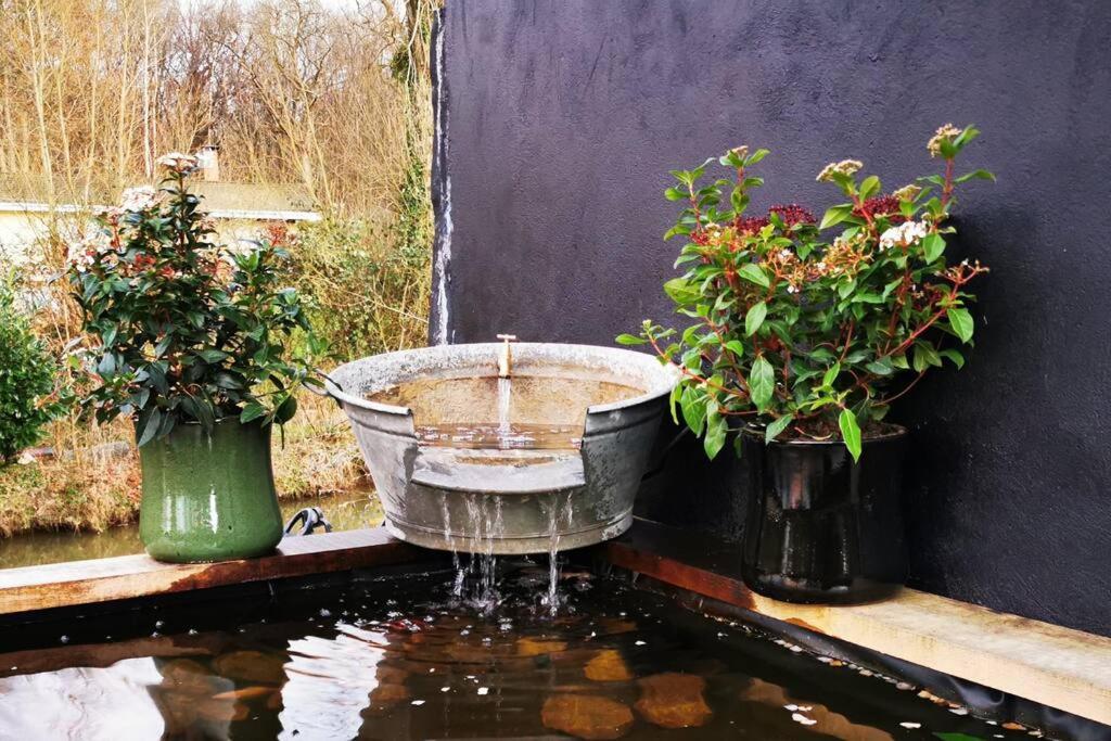 une fontaine avec deux plantes en pot sur un patio dans l'établissement BRUSHWOOD, à Longfossé