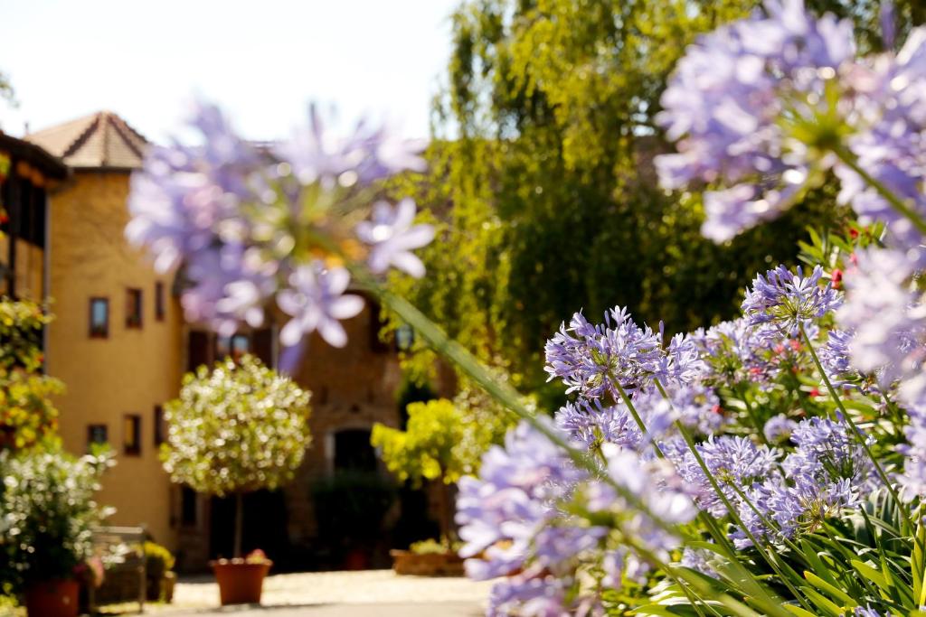 a bunch of purple flowers in front of a building at Landhotel Hofgut Battenberg in Battenberg