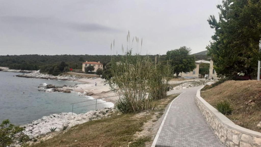 Příroda nedaleko apartmánu