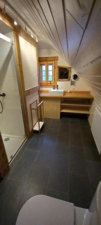Koupelna v ubytování Izerski dom